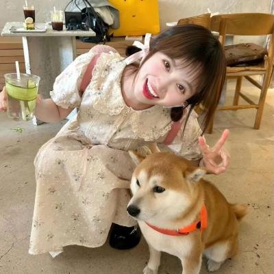 最后的恐龙